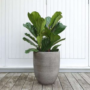 Lola Pot Grey, 43cm