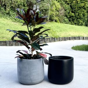 E4C6E65D-5D90-4322-A3CA-6A66A36DE5B3