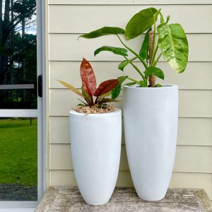 Pluto Planter