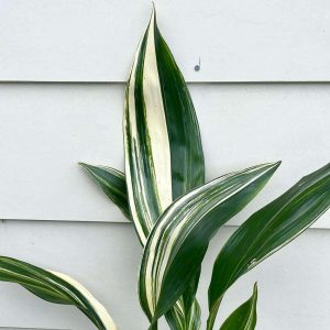 867A205D-97EB-4C9C-856E-9BD4559B6ACC