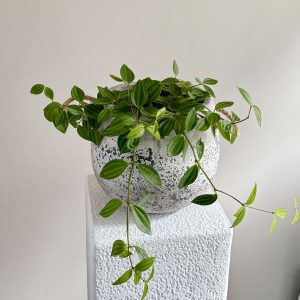 RustiPlanter w/Rope Handles