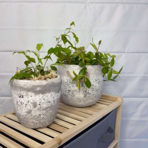 Archer cement planter small