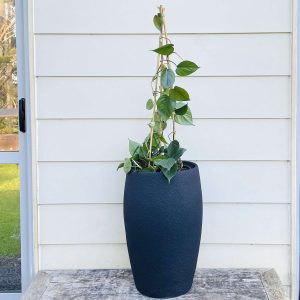 Heat leaf in black Neptune