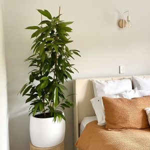 Mercury Large planter