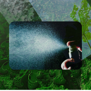 LeafBright Plant Wash