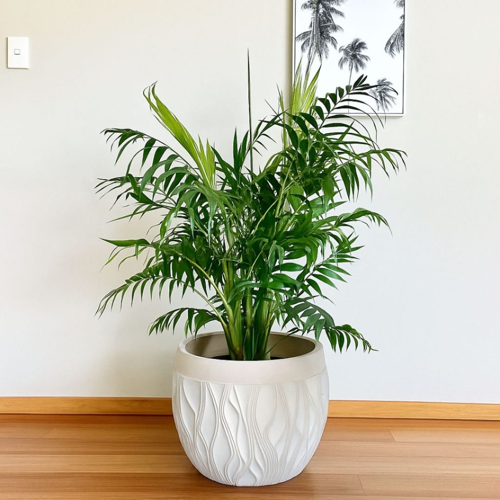 Sombrero Planter