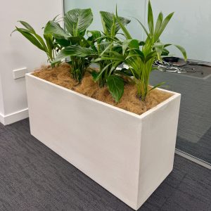 Trough planter