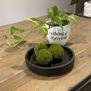 Golden Pothos_Vibing