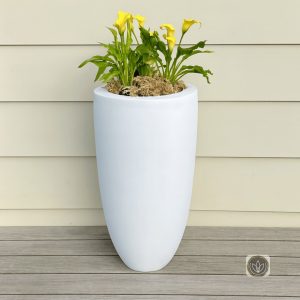 Pluto planter