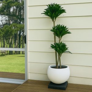A tall Dracaena plant with three clusters of lush green leaves sits in a textured white round pot on a dark square base, placed against a cream wall and beside a glass door, with natural wood decking below that enhances the warm, modern aesthetic.