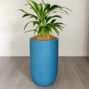 kentia-in-blue-mediterranean-planter-plantandpotnz.