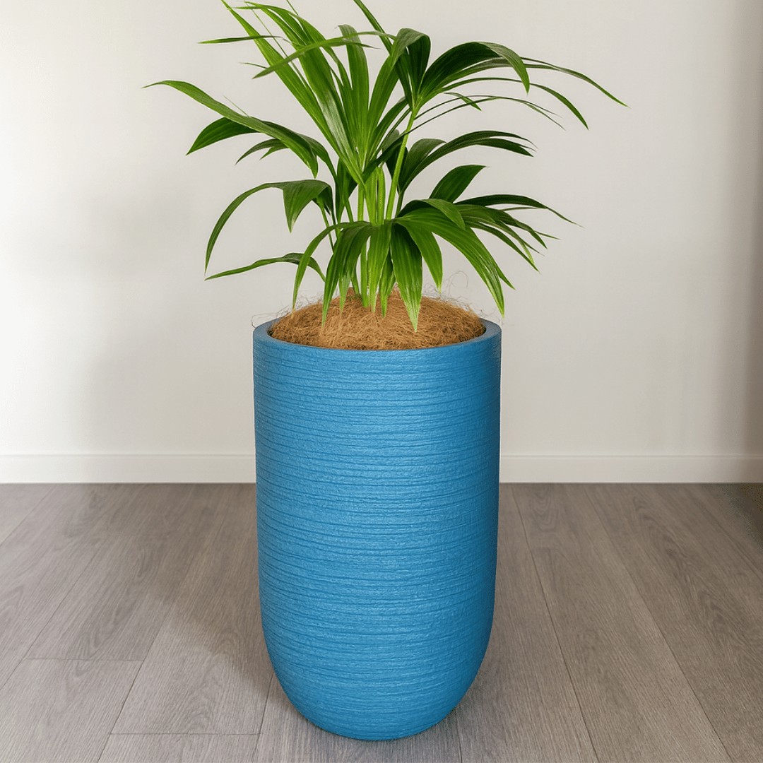 kentia-in-blue-mediterranean-planter-plantandpotnz.