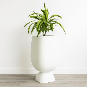 A tall white Moon Planter with a Dracaena plant displayed against a plain white wall and grey wood flooring, styled in a minimalist modern setting.