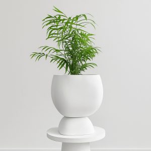 A digital photograph showcasing the Moon Planter — a sleek white sculptural pot holding a lush green parlor palm, placed on a minimalist white pedestal with a soft grey wood floor and plain light wall for a clean, modern aesthetic.