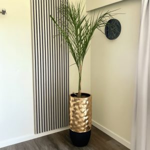 Queen Palm in Venus Gold Planter