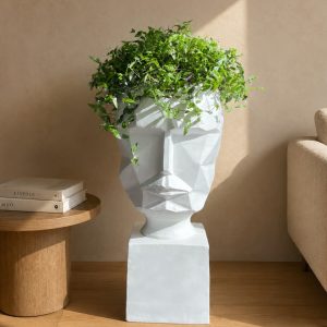 Extra Large Face Pot with Bridal Veil Plant