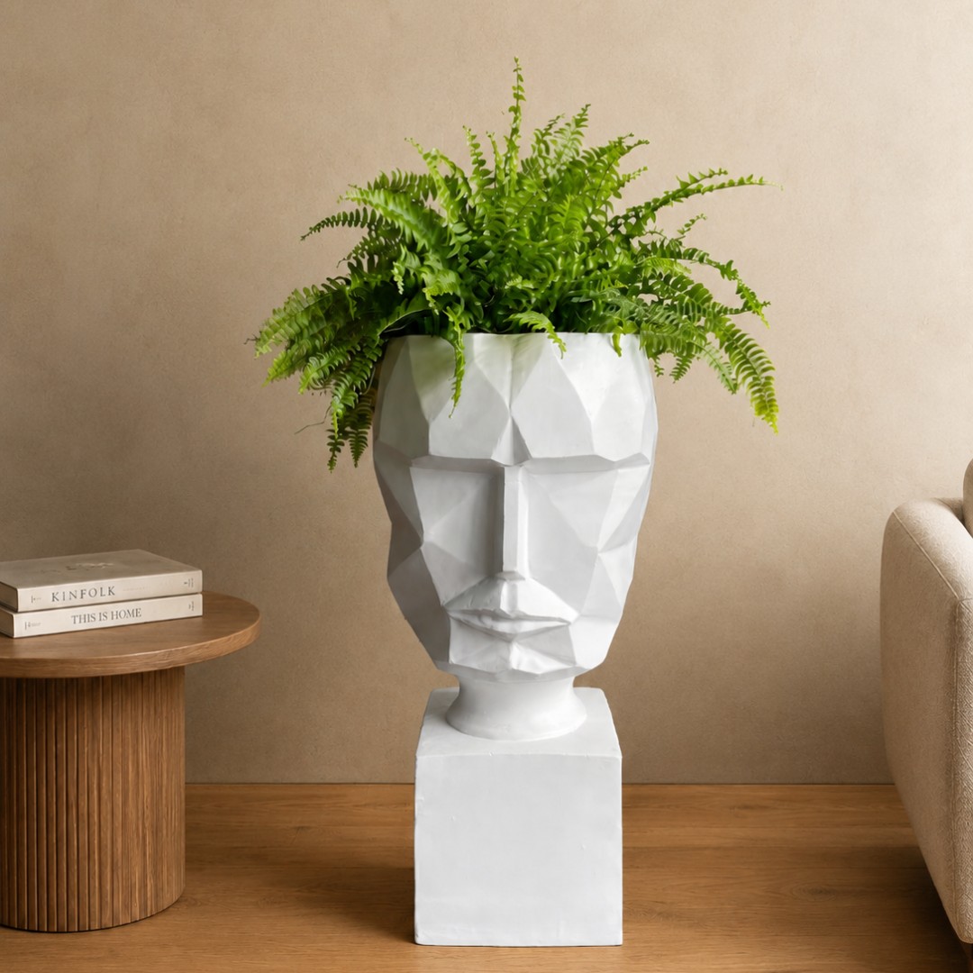 Geometric Face Planter with Boston Fern