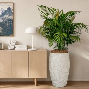 mars_planter_in_palm