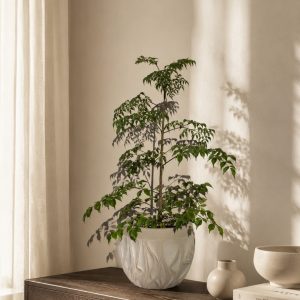 China-Doll-Sombrero-Planter-Taupe-Japandi-Interior.