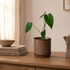 Espresso_Pot_