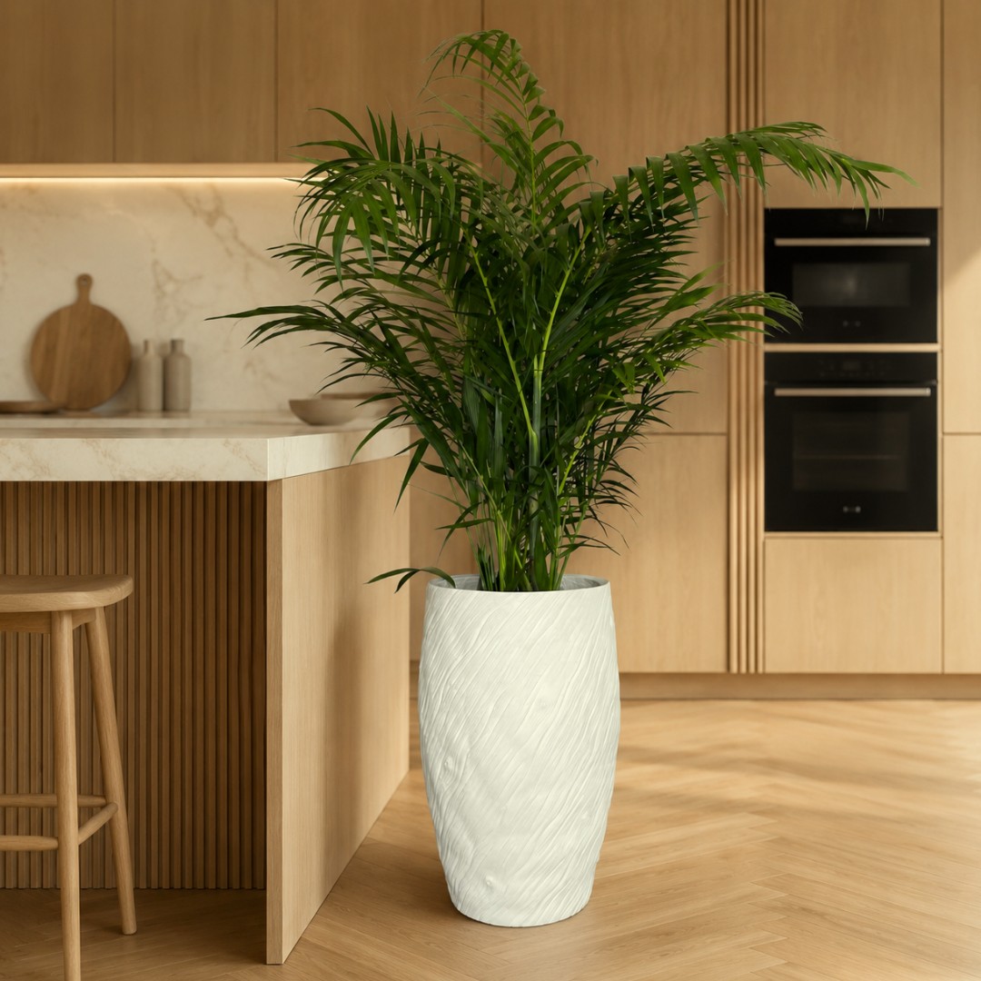 chamaedorea-palm-mars-planter-minimalist-interior.png