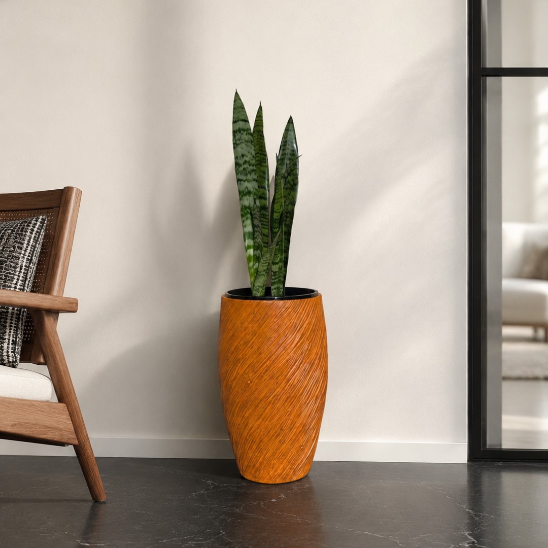 snake-plant-in-amber-png