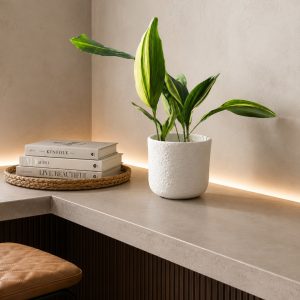 ariegated-Cast-Iron-Plant
