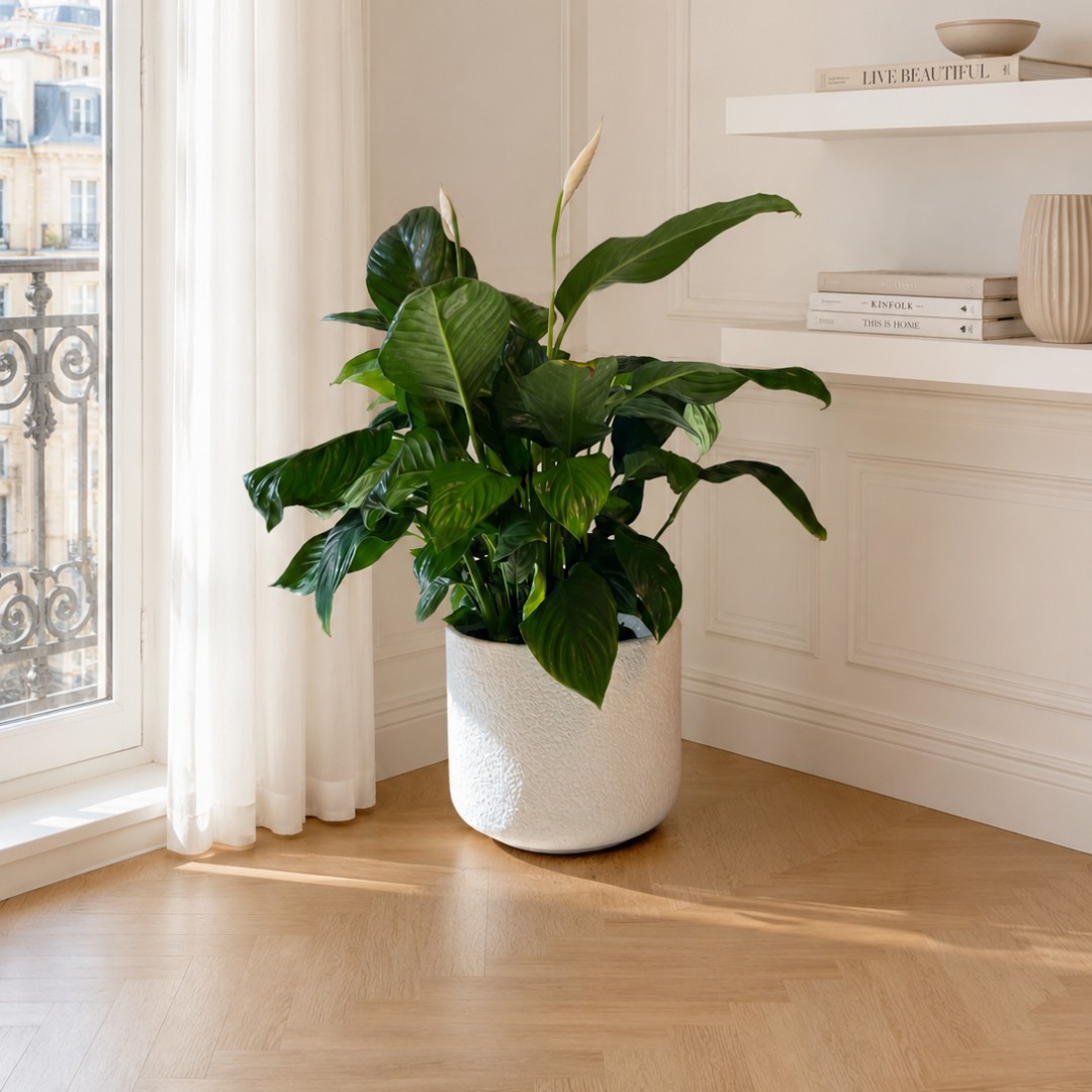 lyra-planter-with-peace-lily