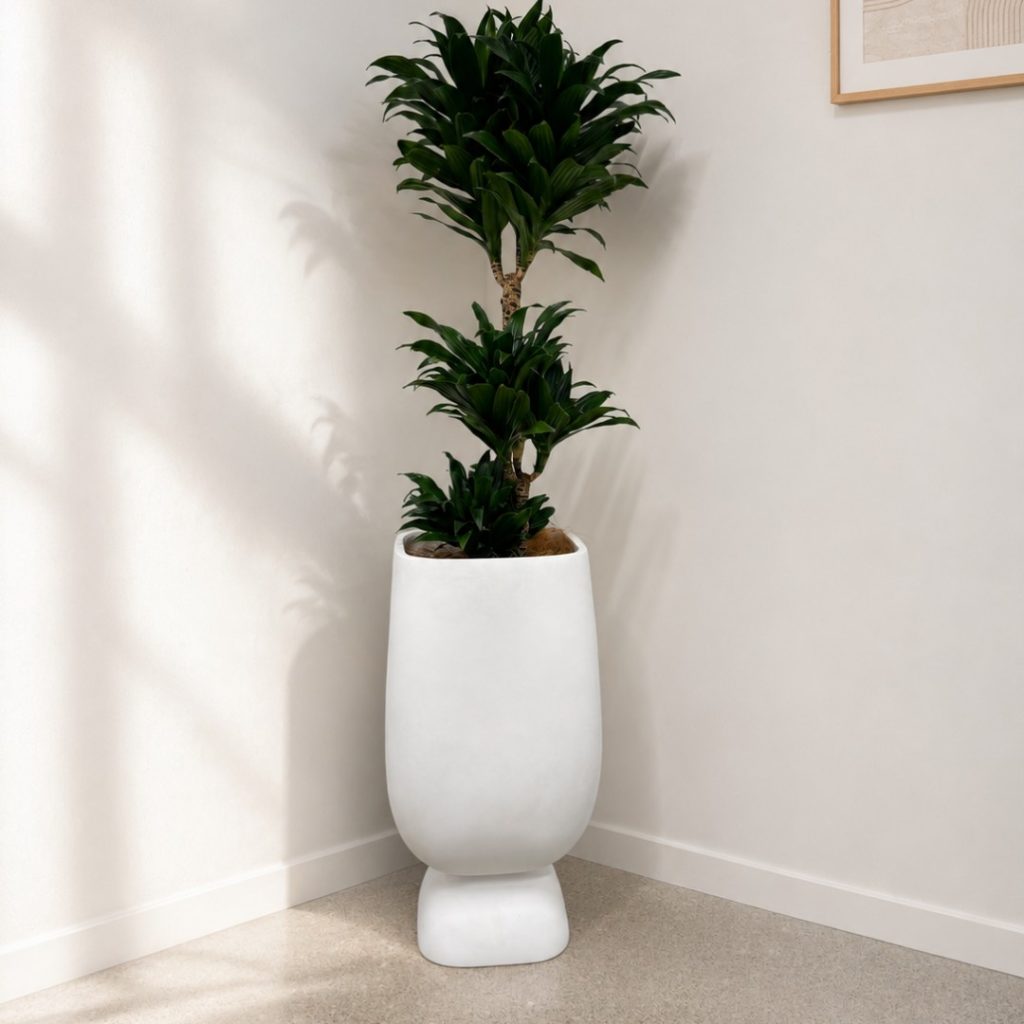tall moon Planter