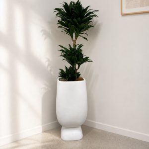tall moon Planter