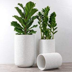 Lunar,Planter
