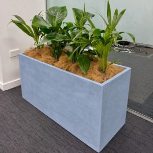 Trough Planter Grey